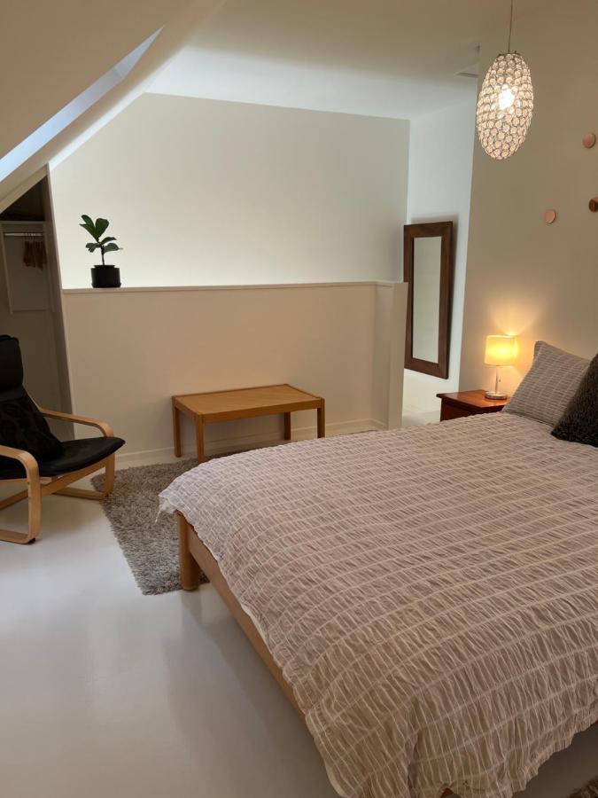 Beech Hill - Pet Friendly Holiday Home Tasman المظهر الخارجي الصورة