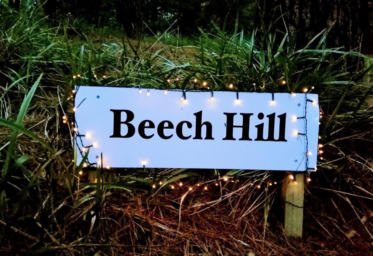 Beech Hill - Pet Friendly Holiday Home Tasman المظهر الخارجي الصورة
