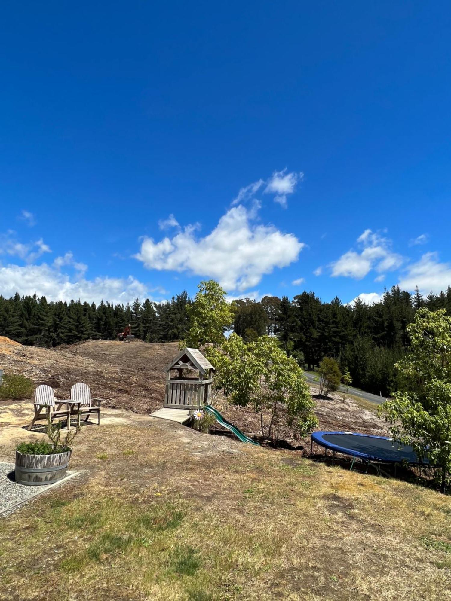 Beech Hill - Pet Friendly Holiday Home Tasman المظهر الخارجي الصورة